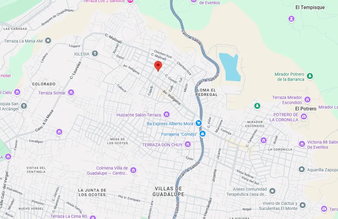 Mapa con la ubicación de Netmas en Zapopan